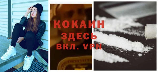 дживик Горняк