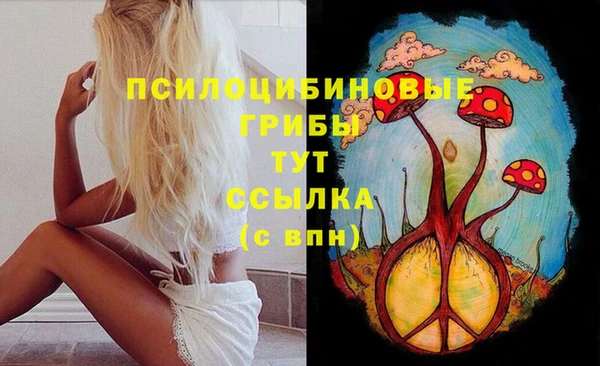 прущая мука Горно-Алтайск