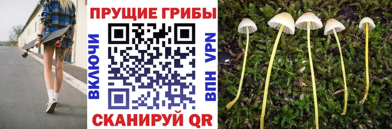 купить наркоту  Печора  Галлюциногенные грибы мухоморы 